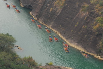 鲸鱼到底是怎样从陆地四肢动物下海进化而来？