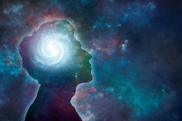 深圳哪里有摘草莓的地方？