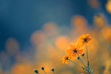 历史上哪个守城将领最值得称颂？