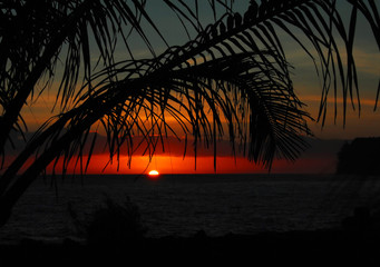 女生成考大专学什么专业好 怎么选择