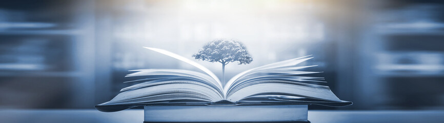 深圳哪里有摘草莓的地方？