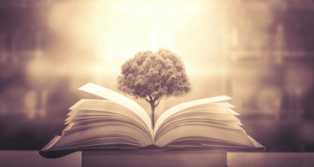 广播稿100字(生活小百科)