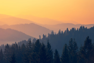 从昆明到福建坐火车到多少个小时？