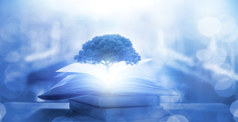 鲸鱼到底是怎样从陆地四肢动物下海进化而来？