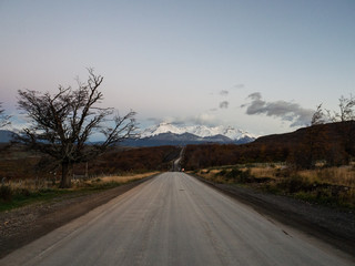 巫师3二周目鼠李草怎么扔