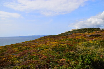大营镇属于哪个省哪个市？