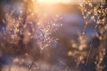 三一重机有限公司的发展