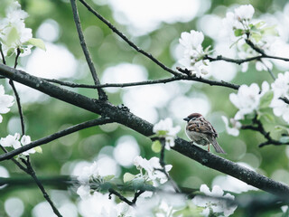 女生成考大专学什么专业好 怎么选择