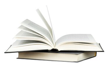 深圳哪里有摘草莓的地方？