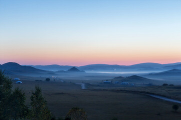 鲸鱼到底是怎样从陆地四肢动物下海进化而来？