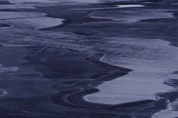 鲸鱼到底是怎样从陆地四肢动物下海进化而来？