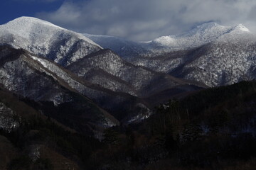 深圳哪里有摘草莓的地方？