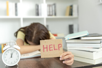 女生成考大专学什么专业好 怎么选择