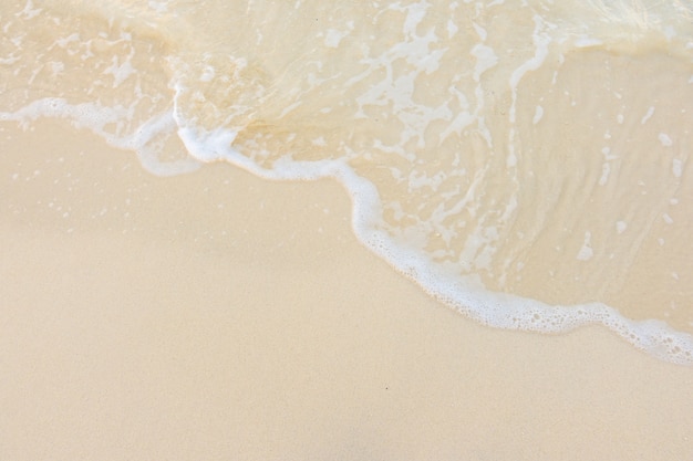 女生成考大专学什么专业好 怎么选择