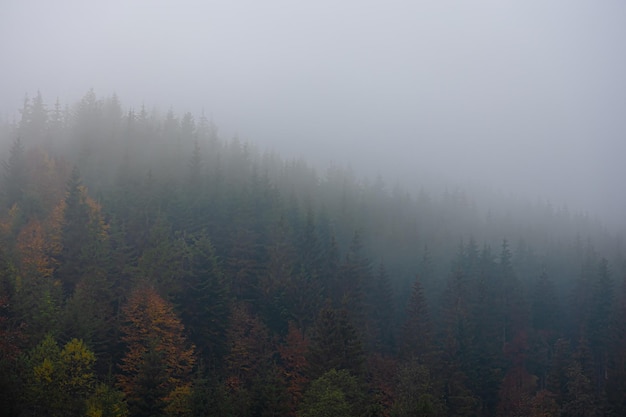 安徽一次性就业补贴申请条件