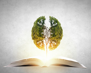 三一重机有限公司的发展