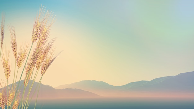 从昆明到福建坐火车到多少个小时？