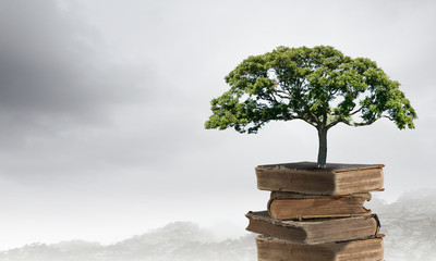 大营镇属于哪个省哪个市？